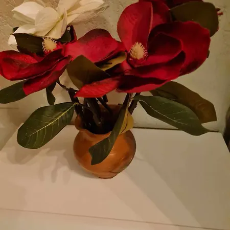 Apartman Rajmonda's House *