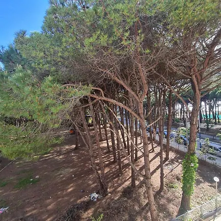 Rajmonda's House Golem